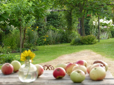 2016-07-25 Gartenimpressionen 4.jpg
