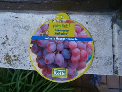Katharina 002.JPG