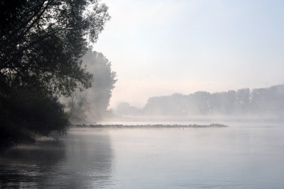 Nebeldonau-11.jpg