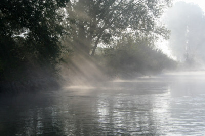 Nebeldonau-13.jpg