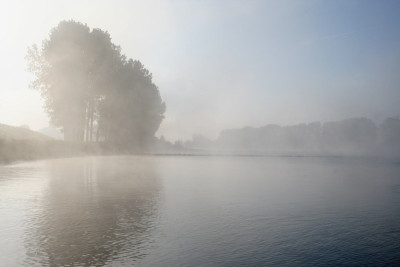 Nebeldonau-17.jpg