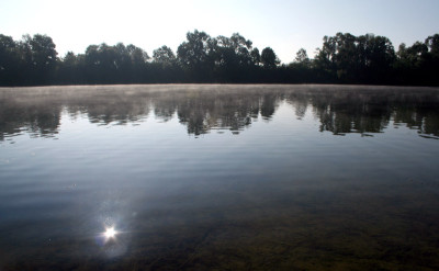Nebeldonau-21.jpg