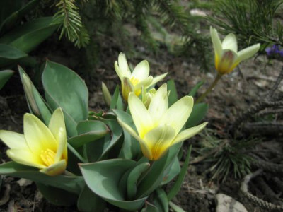 IMG_0636april.jpg