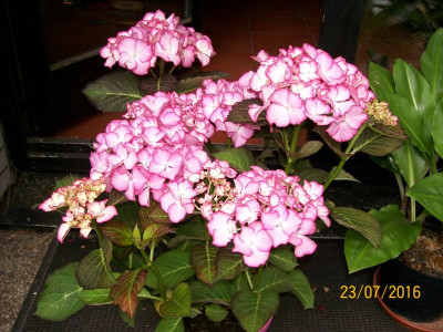 100_4781.JPG