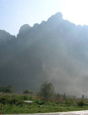 DSCN7905.jpg