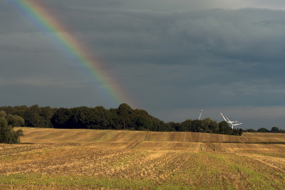 seitenverkehrt-Regenbogen_DSC6242.jpg