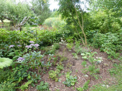 2016-07-31 Schattenbeet 1.jpg