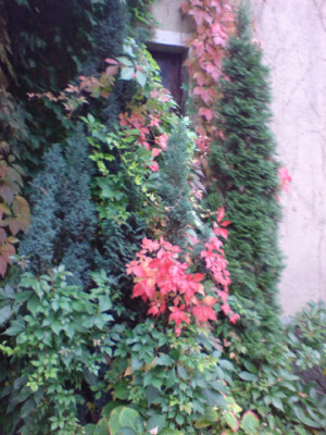 oktoberstimmung_im_garten.JPG