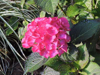 DSCN5465.JPG