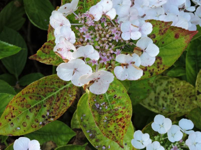 DSCN5483.JPG
