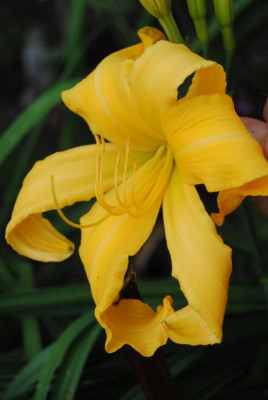 august 021.jpg