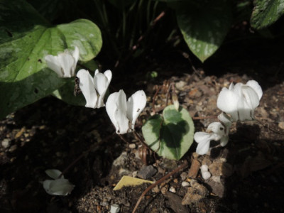 DSCN1143_1693.JPG