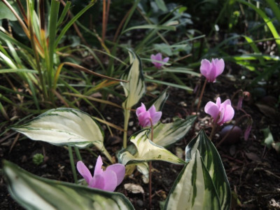 DSCN1144_1694.JPG