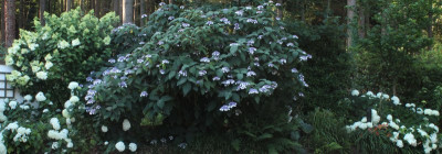 IMG_§284.jpg