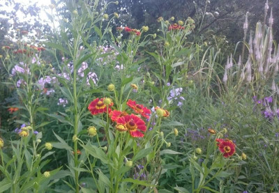 _20160801_220120.JPG