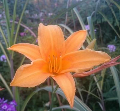 _20160802_095419.JPG
