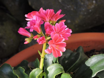 DSCN5492.JPG