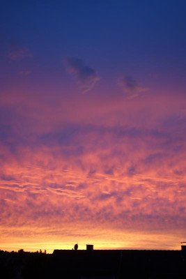 Abendhimmel.16-2.jpg
