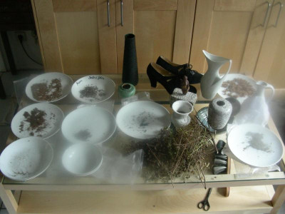 DSCN5210.JPG