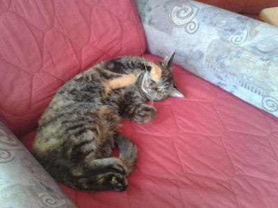 20160805_112341.jpg