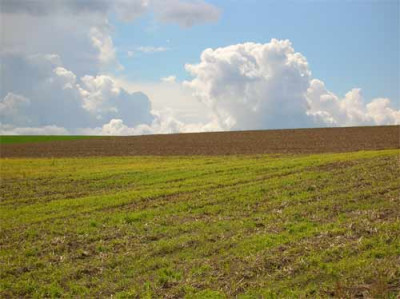 2006-eichsfeld-.jpg
