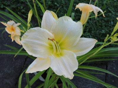 DSCN5421.JPG