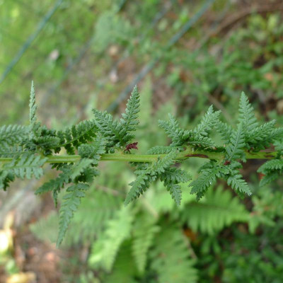 L1010826.JPG