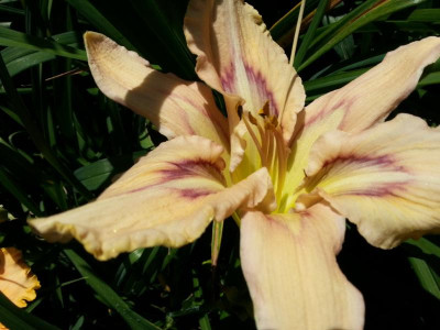 20160626_110441.jpg