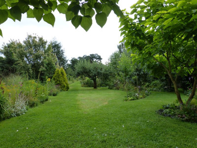 2016-08-06 Garteneinblick 3.jpg