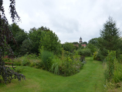 2016-08-06 Garteneinblick 4.jpg