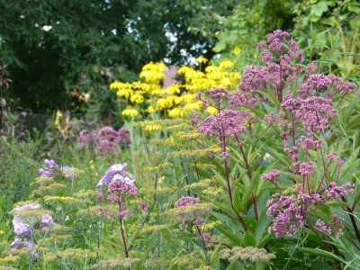 2016-08-07 Gartenimpressionen 13.jpg