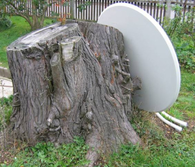 baumrest_1.jpg