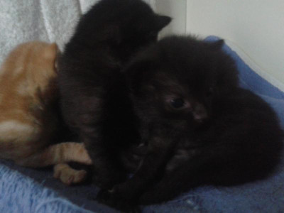 20160807_130357.jpg