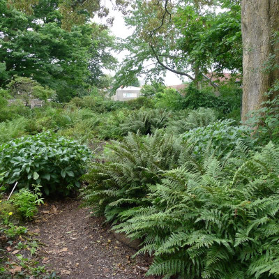 L1010886.JPG