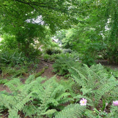 L1010898.JPG