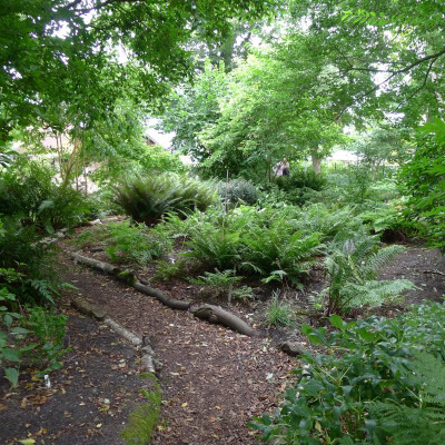 L1010904.JPG
