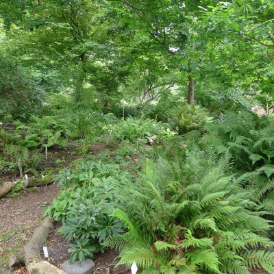 L1010907.JPG