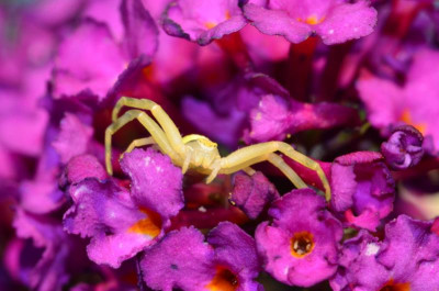 DSC_0023.JPG