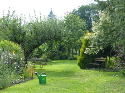 2016-08-08 Garteneinblick 2.jpg