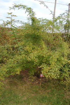 Purezza_0063_69.jpg