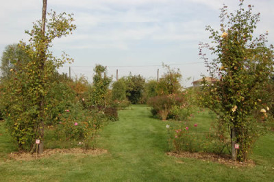 Schaugarten_La_Campanella_0037_73.jpg