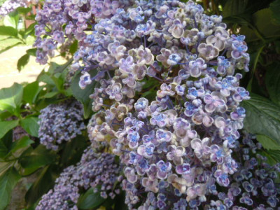 ootmarsum 002.JPG