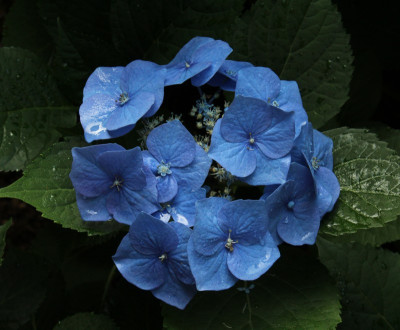 IMG_%315.jpg