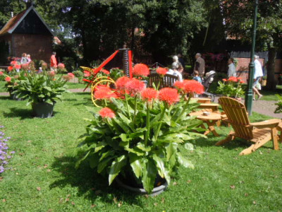 ootmarsum 005.JPG