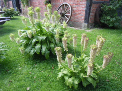 ootmarsum 004.JPG