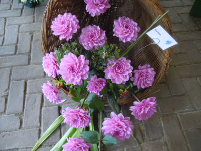 ootmarsum 009.JPG