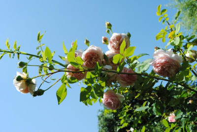 august 026.jpg