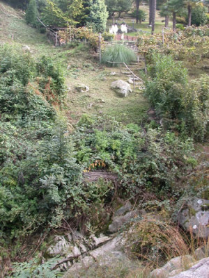 Gambarogno_30237.jpg
