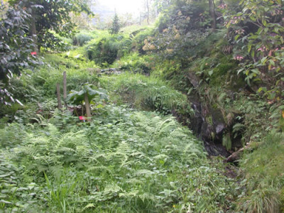 Gambarogno_30244_78.jpg