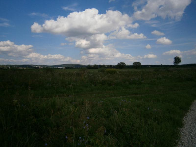 Wemdinger Ried 003.JPG